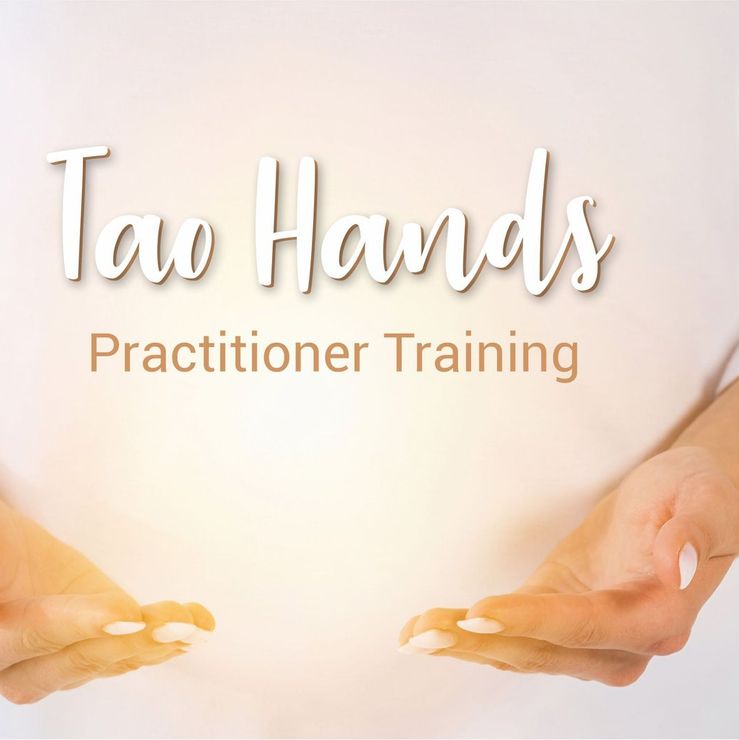 Tao Hands Practitioner Training